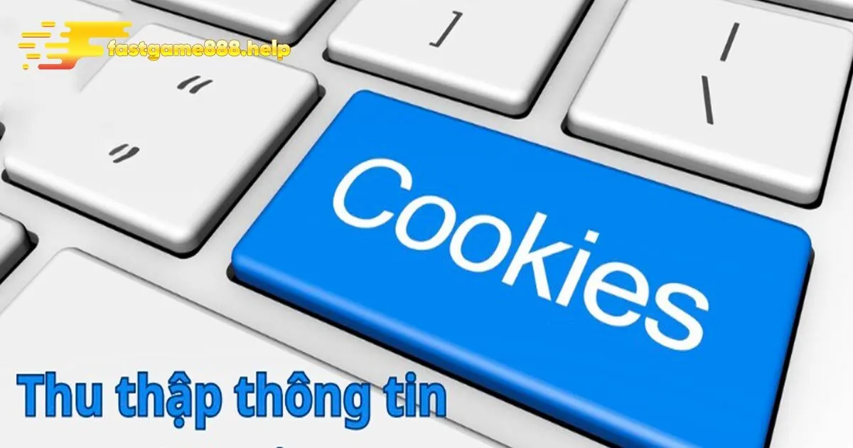 Tầm quan trọng từ chính sách cookie tại nhà cái
